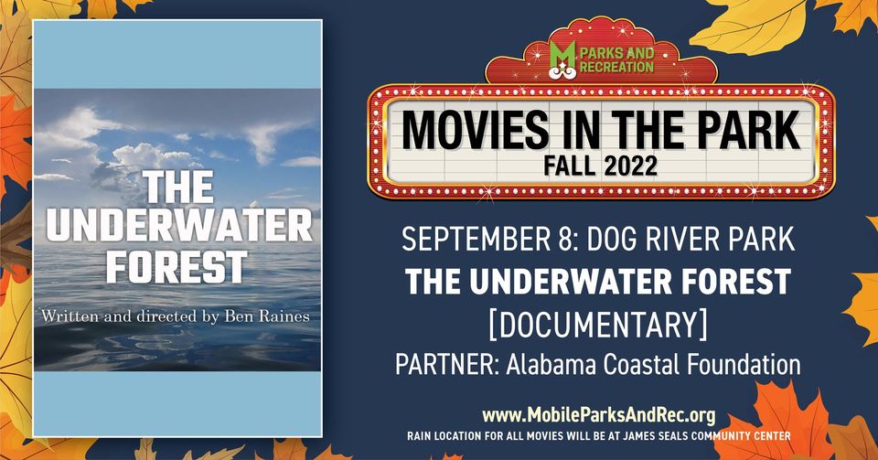 movies in the park graphic