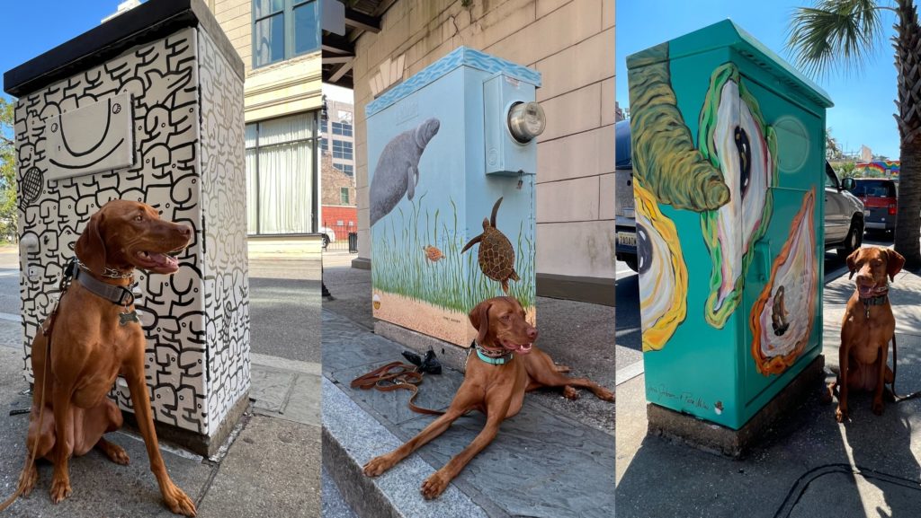 Painted Utility Box Project - Roswell Arts Fund