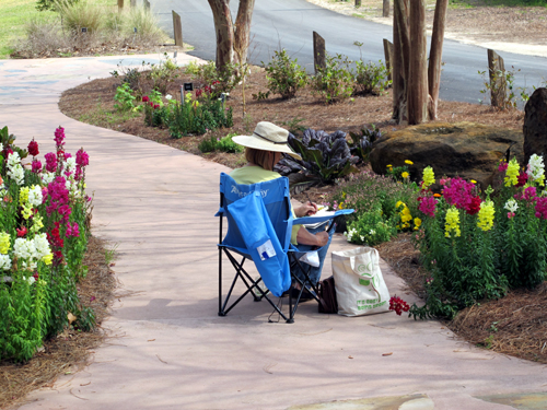 woman sketching flowers