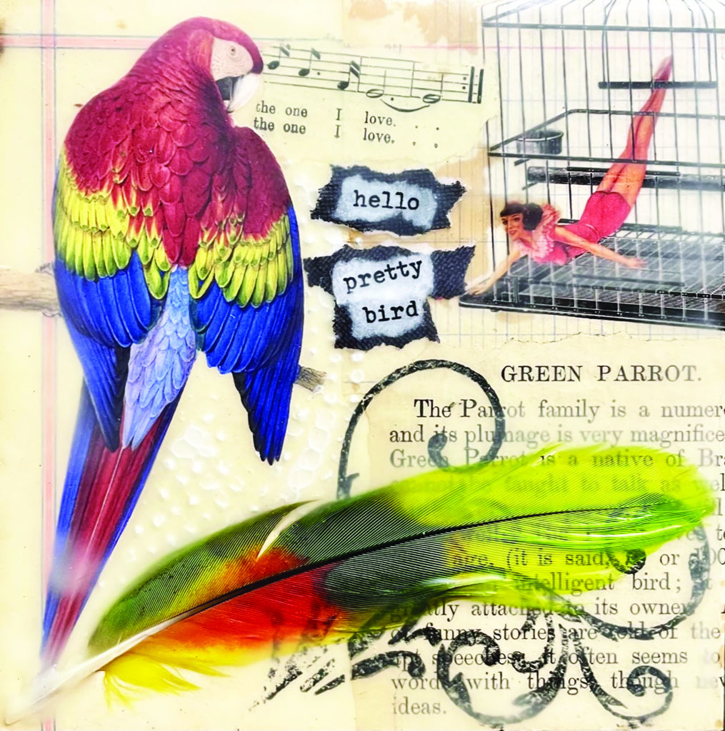 parrot print