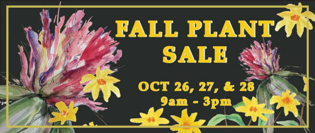 fall plant sale graphic