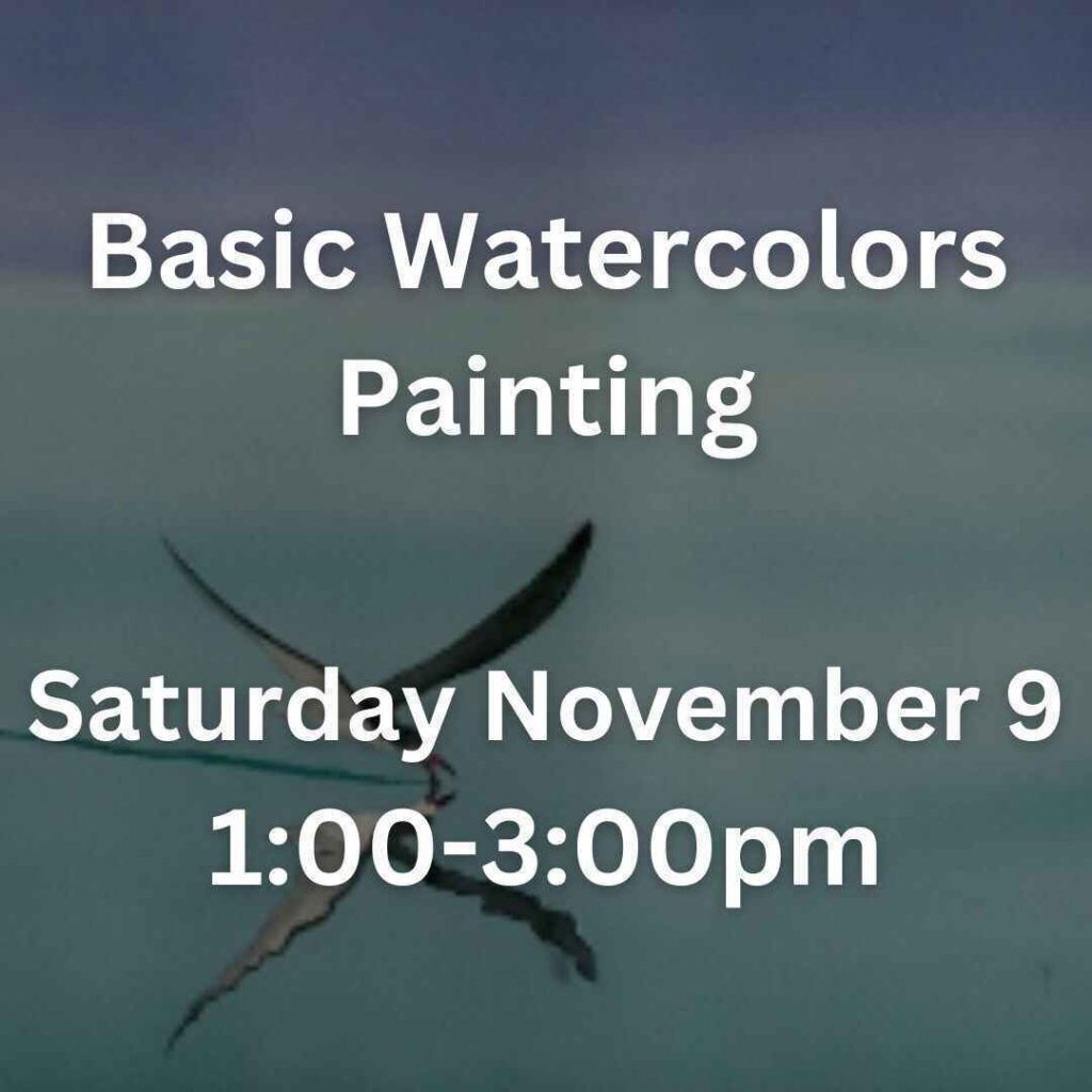 Basic Watercolors Painting Saturday, November 9 1:00-3:00pm