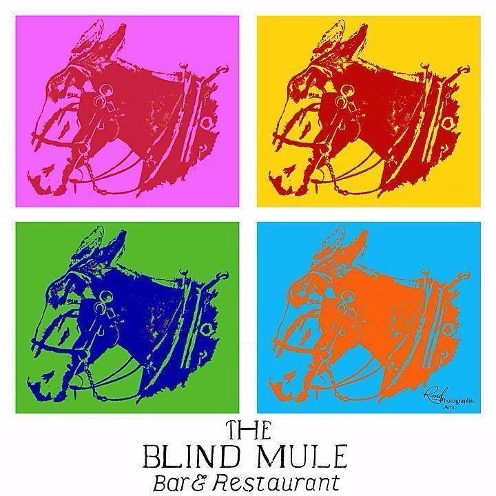 Blind Mule pop art logo