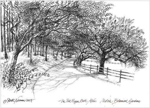 Pen & Ink Botanical Art Piece of Mobile Botanical Gardens Entrance