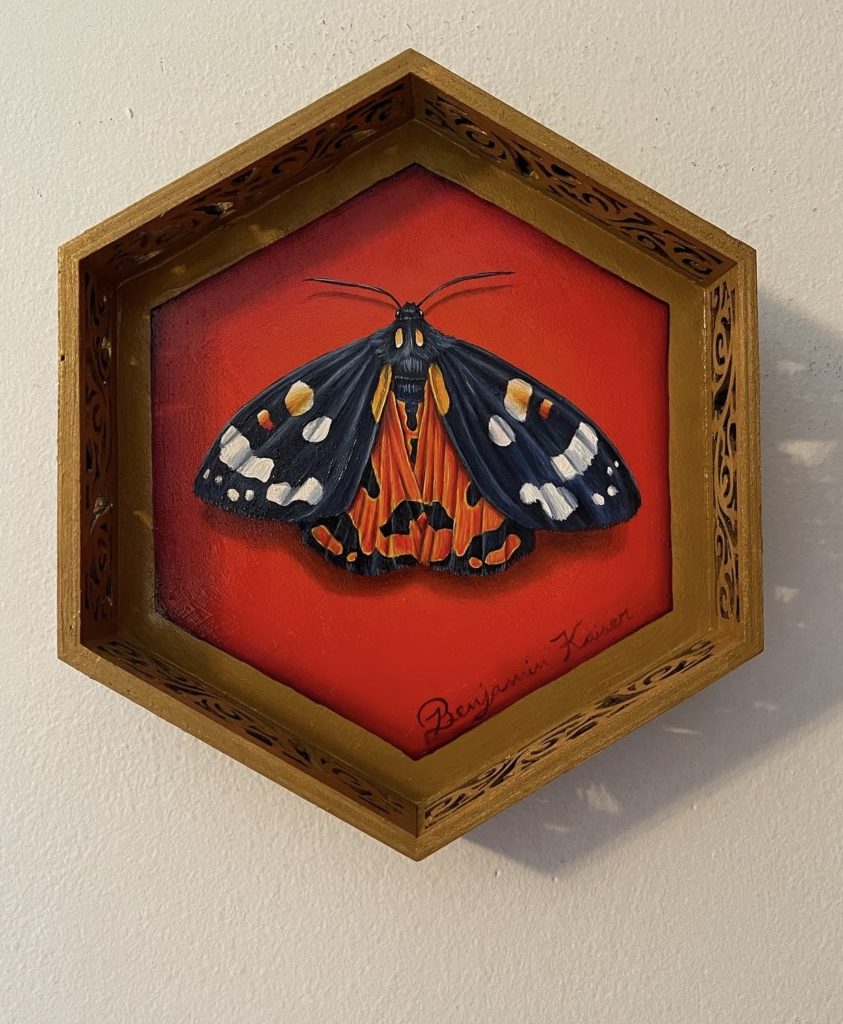 Oil painting of butterfly by Ben Kaiser