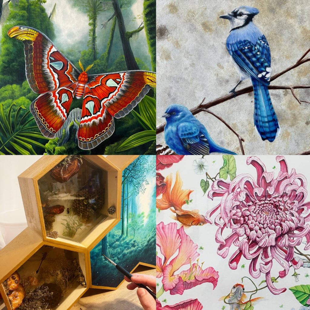 examples of four different Ben Kaiser paintings depicting flower, birds and insects