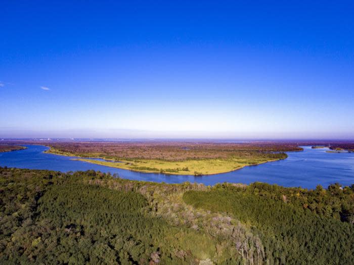 Aerial View of the Mobile Bay Wetlands