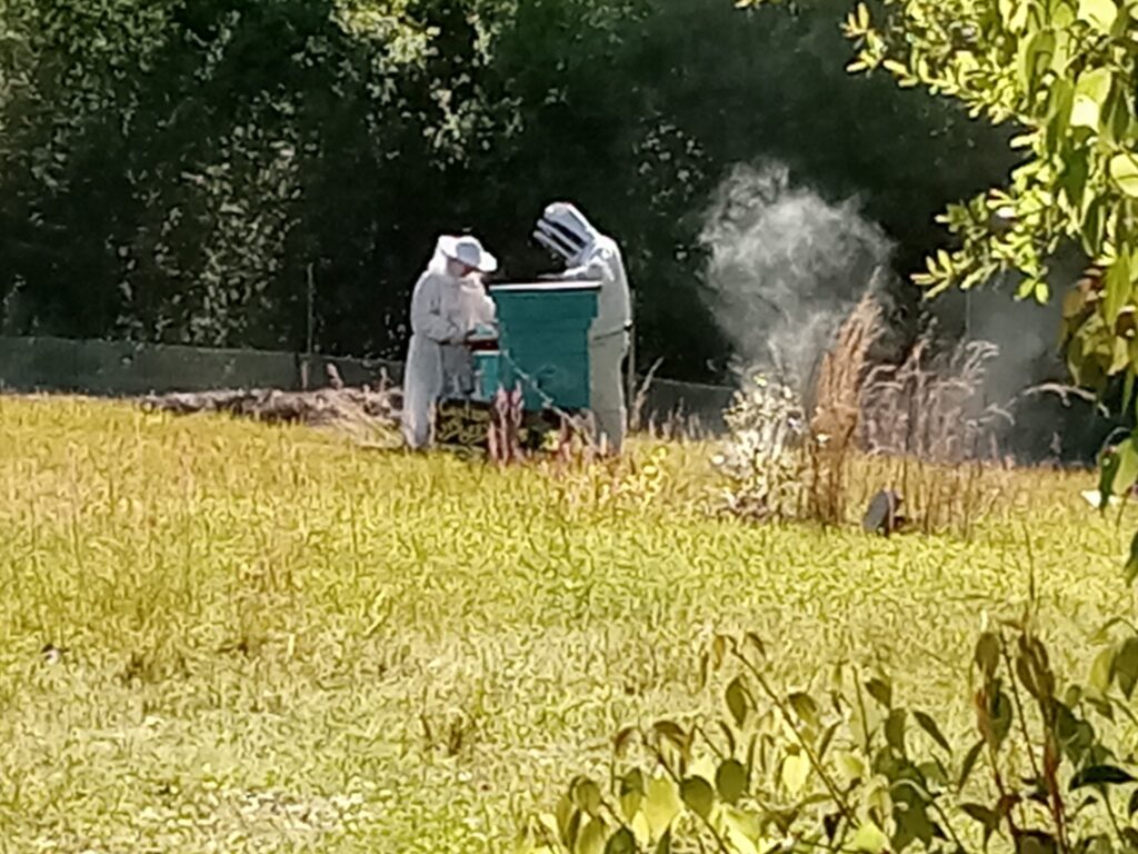 Mobile Botanical Gardens Members tending to the bee boxes