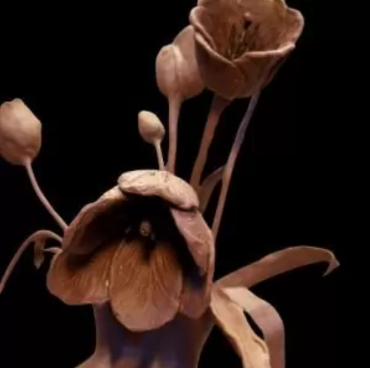 Botanical Clay sculpture