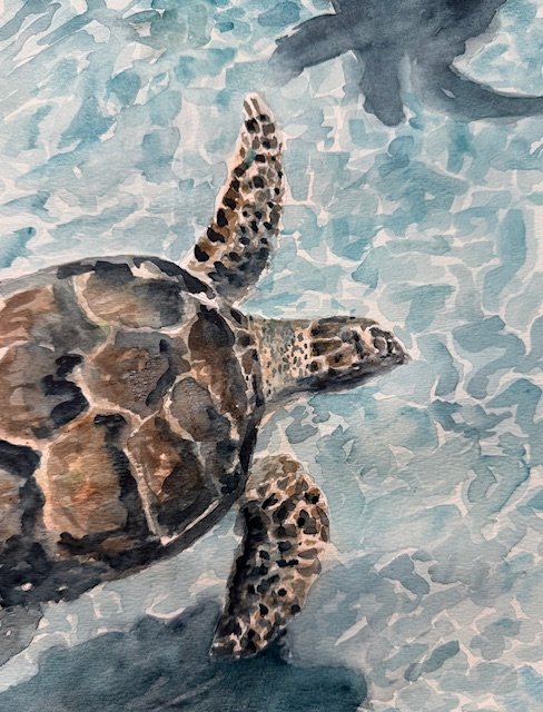 Sea turtle watercolor painting