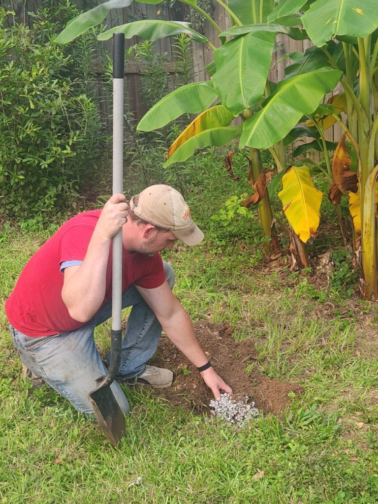 Cade Thornton casting fire ant hills with aluminum