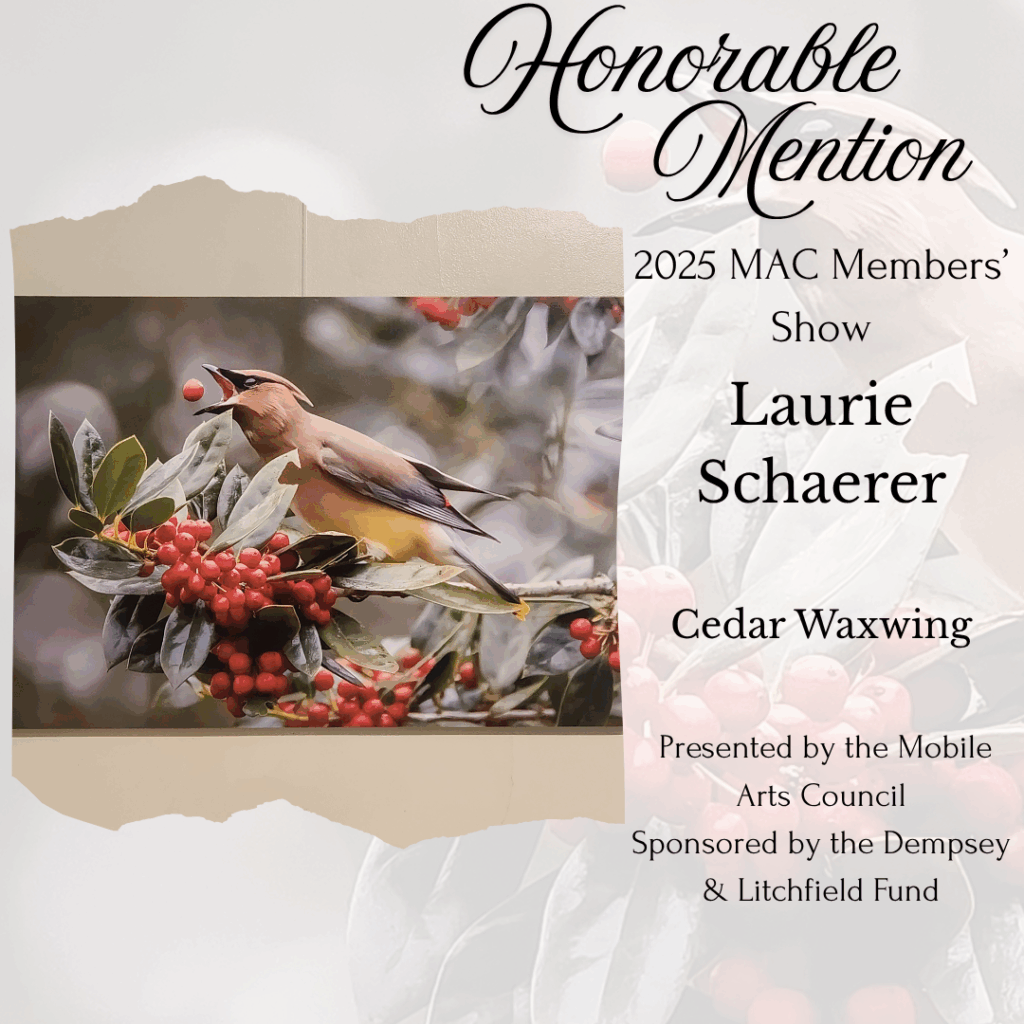 Honorable Mention graphic for LAurie Shaerers photograph Cedar Waxwing