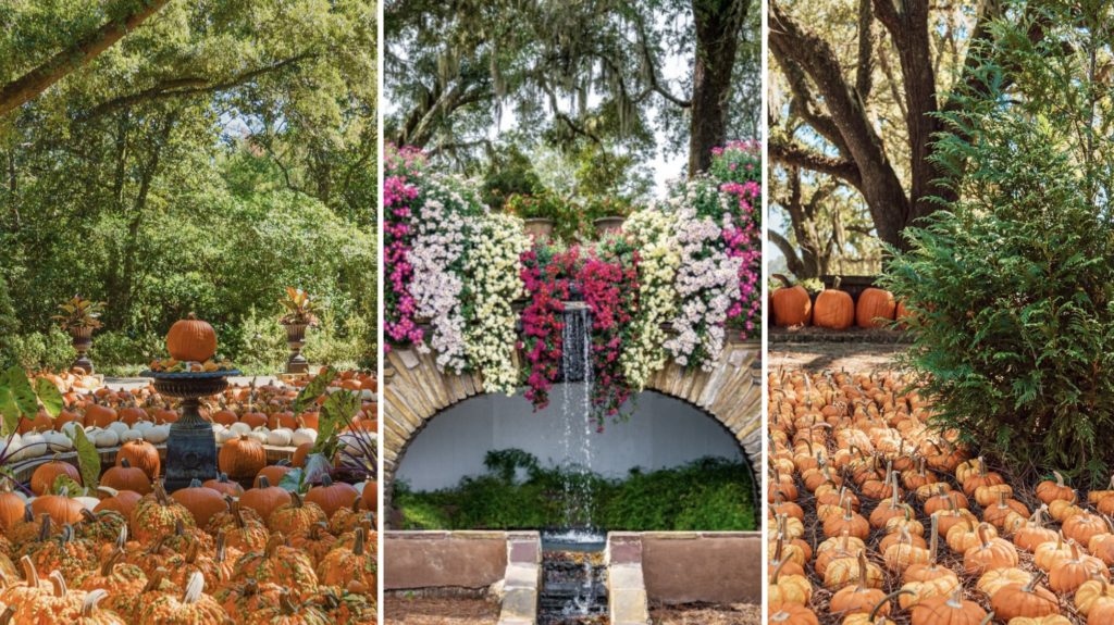 The Great Bellingrath Harvest Festival
