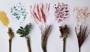 brushes of nature
