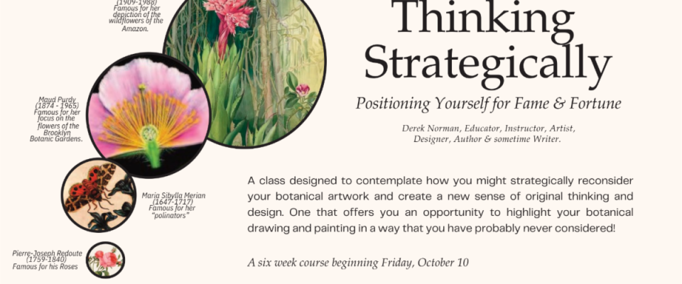 Botanical Art, Thinking Strategically