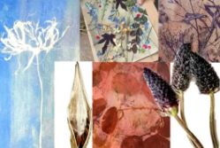 Botanical Printmaking