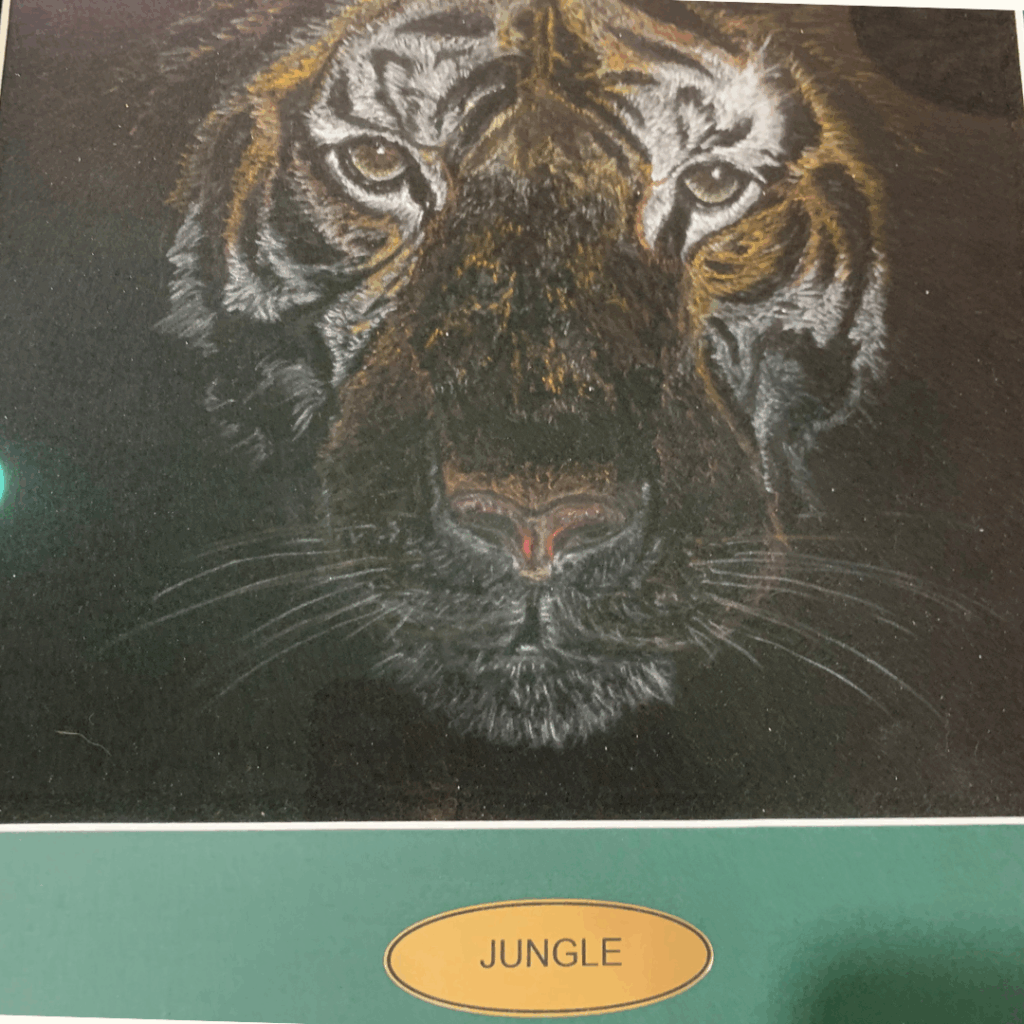 oil pastel on velvet of Tiger titled Jungle by Robert Halcombe