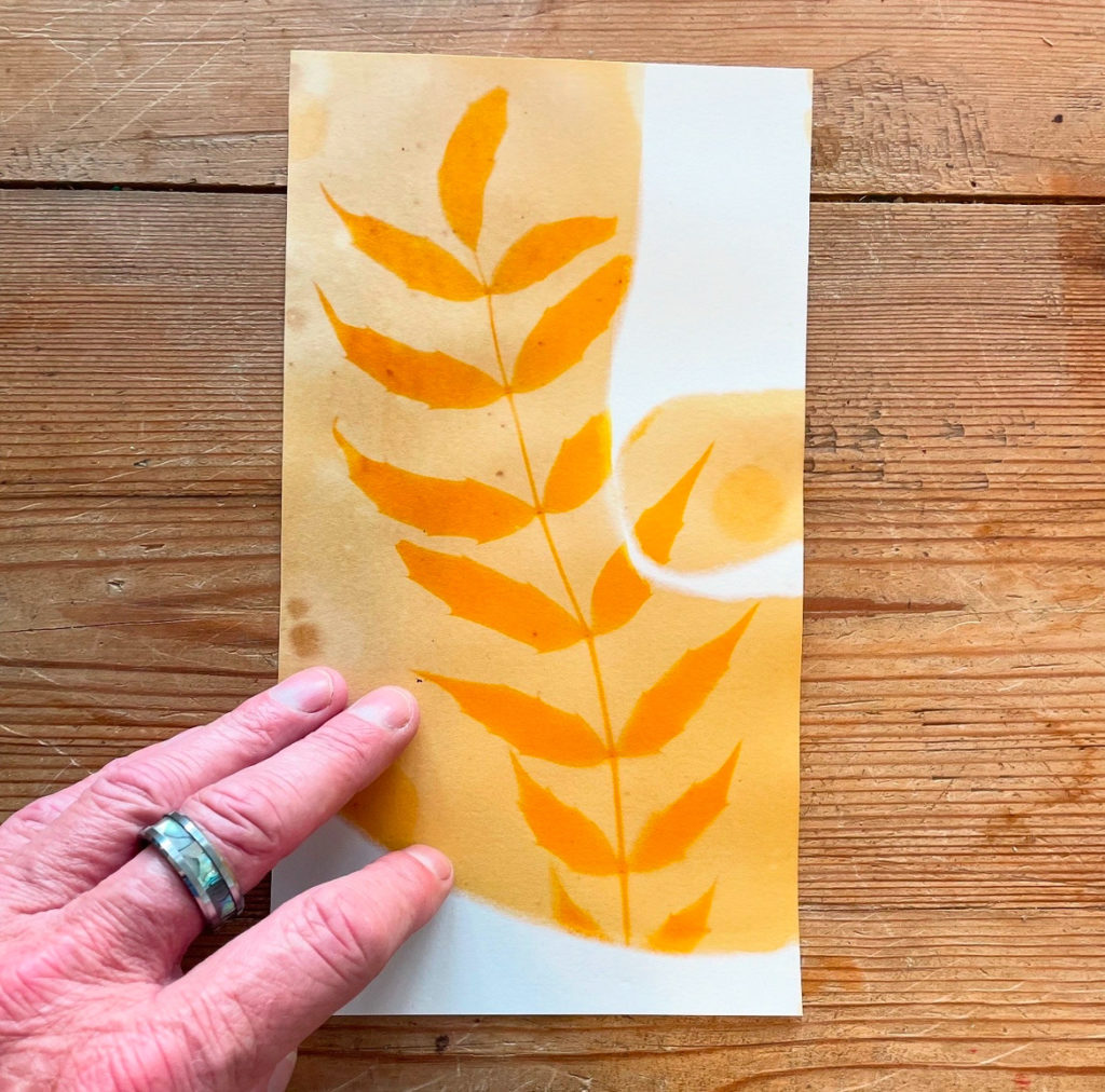 Anthotype Photography example by Wayne McNeal
