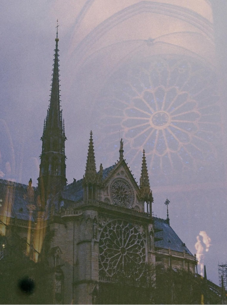 artist member of the month Phoebe Graham photography