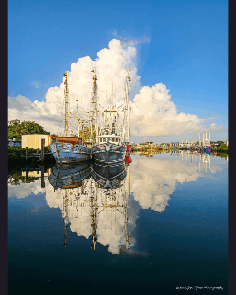 Fine art photography by Jennifer Clifton, gulf coast wildlife and fauna