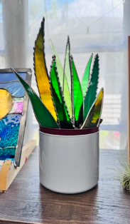 stained glass snake plant